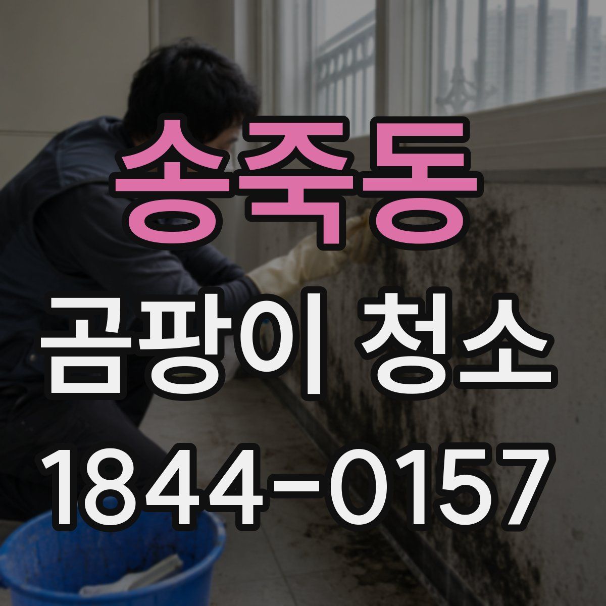 송죽동 곰팡이 청소