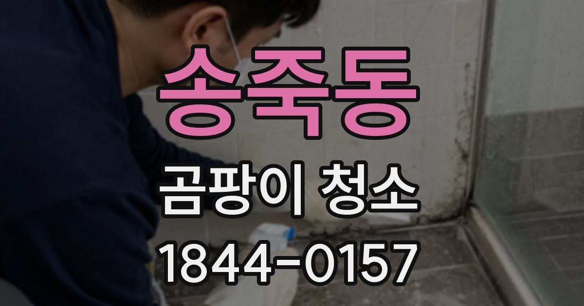 송죽동 곰팡이 청소
