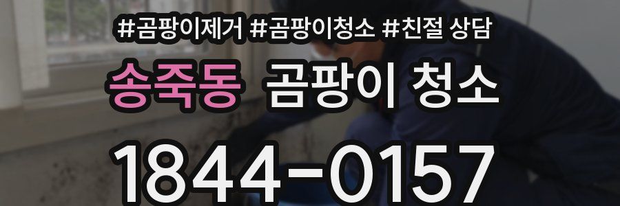 송죽동 곰팡이 청소