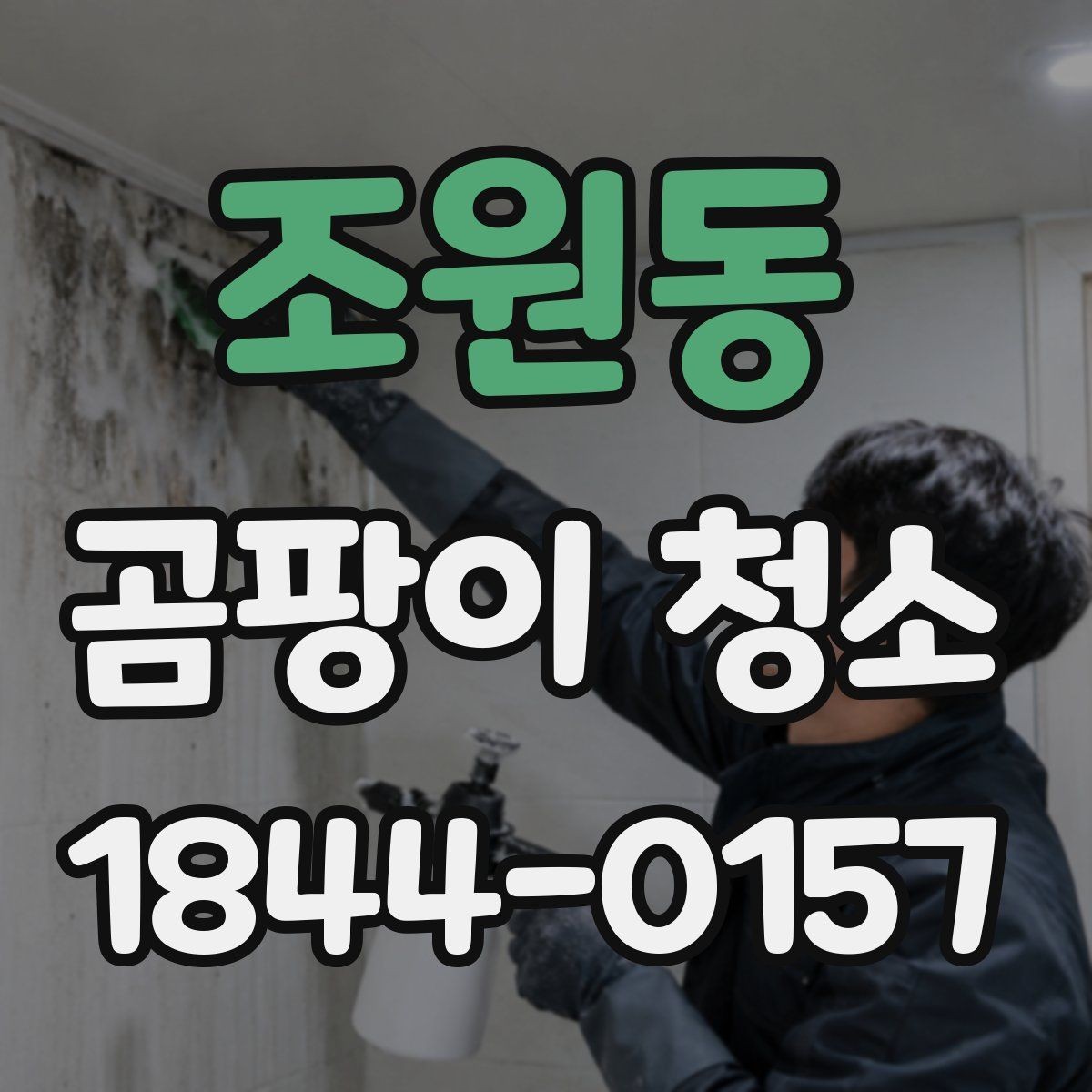 조원동 곰팡이 청소 서비스 비교 시 핵심 포인트