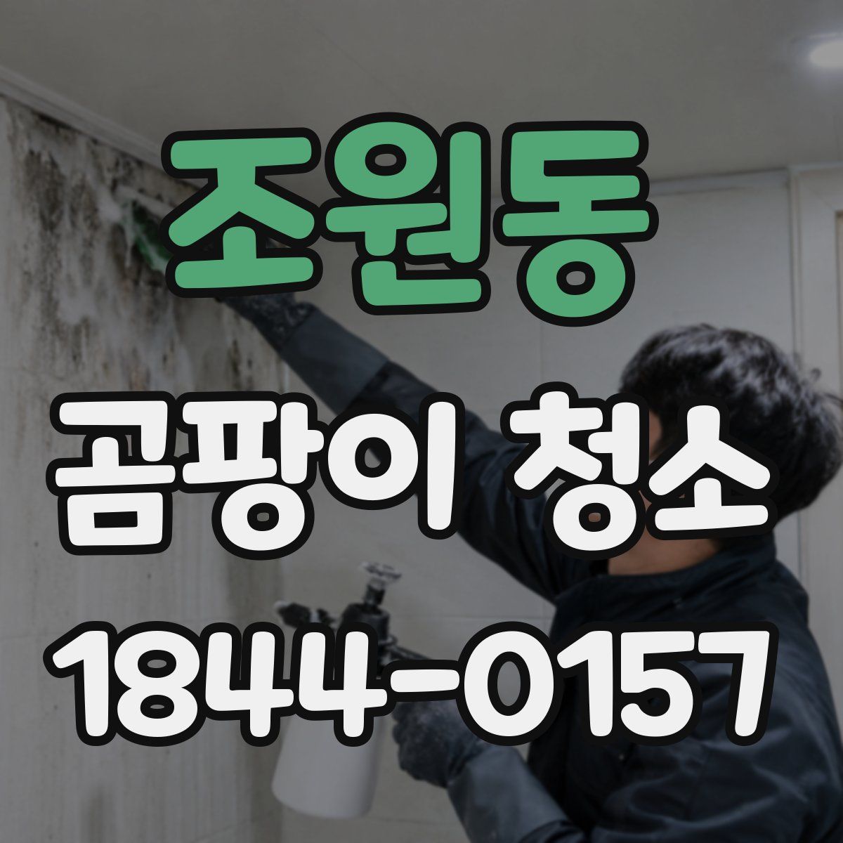 조원동 곰팡이 청소