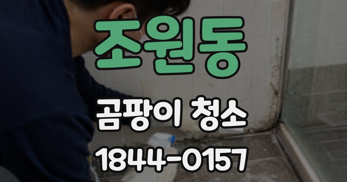 조원동 곰팡이 청소