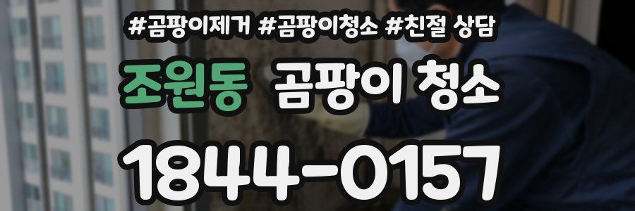 조원동 곰팡이 청소