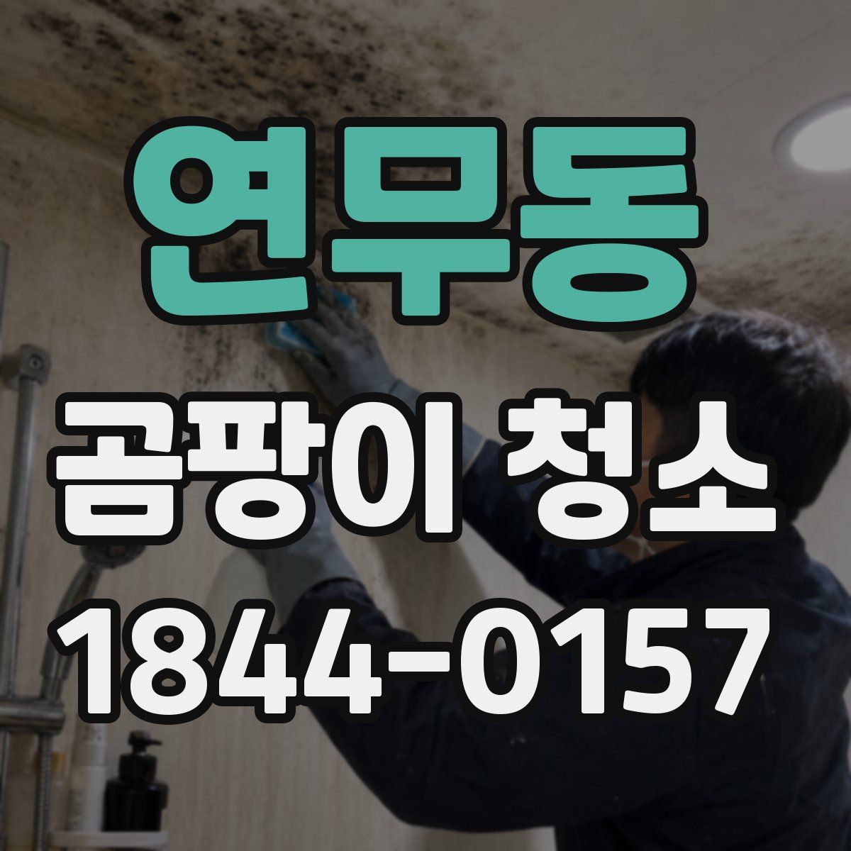연무동 곰팡이 청소