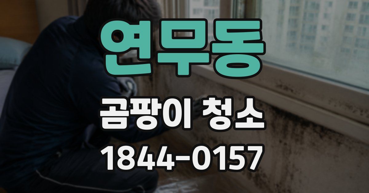 연무동 곰팡이 청소