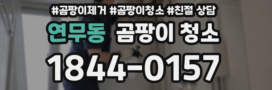 연무동 곰팡이 청소