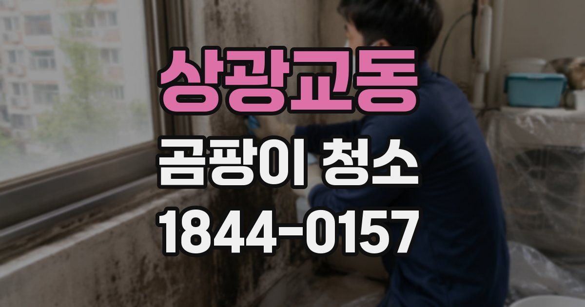 상광교동 곰팡이 청소
