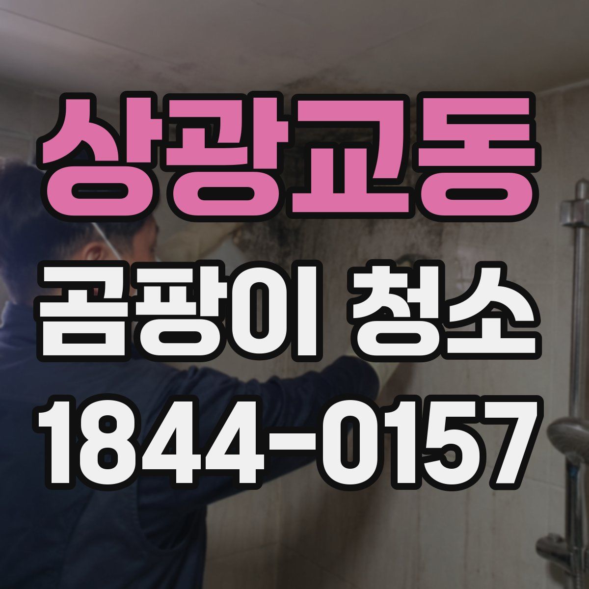 상광교동 곰팡이 청소