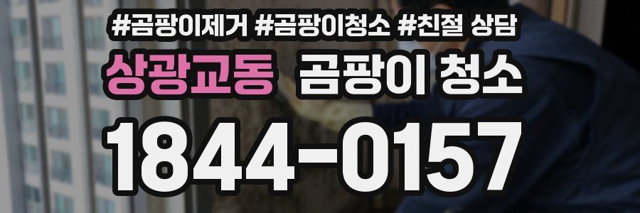 상광교동 곰팡이 청소