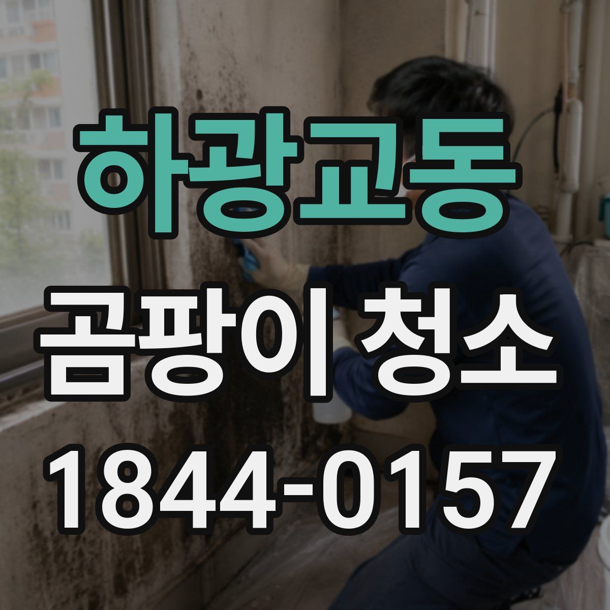 하광교동 곰팡이 청소