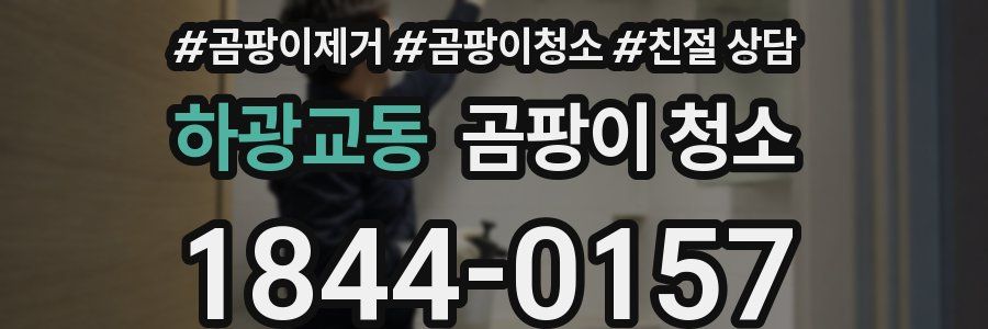 하광교동 곰팡이 청소