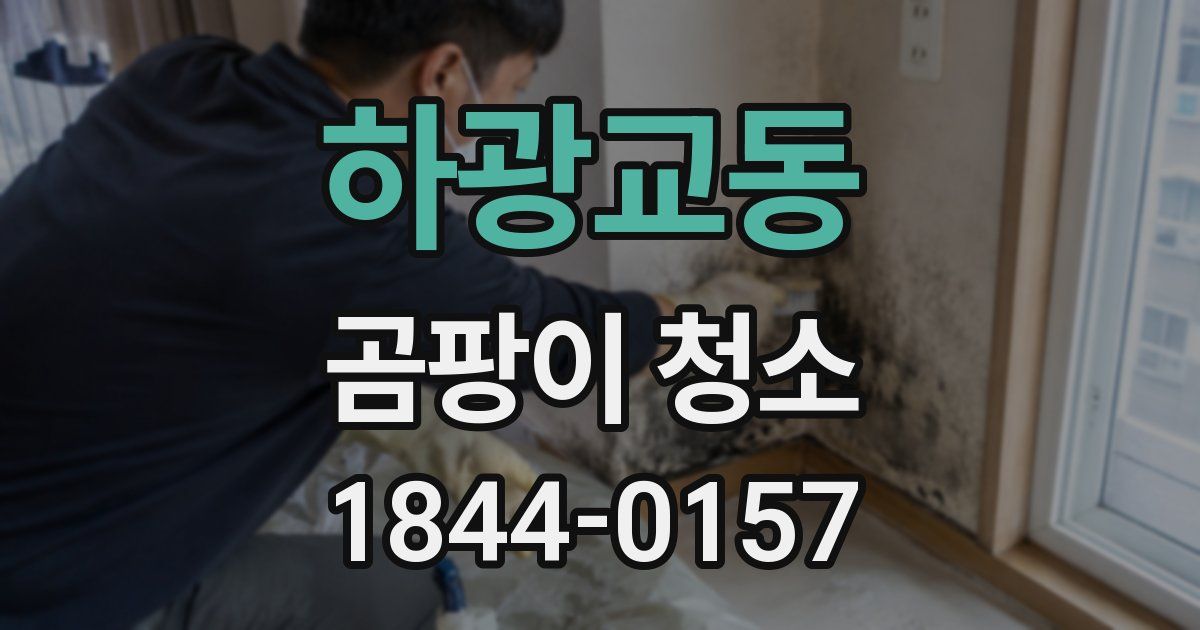 하광교동 곰팡이 청소