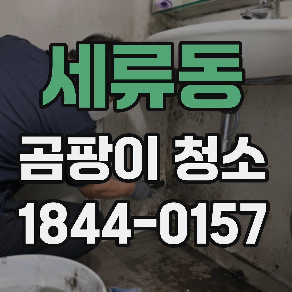 세류동 곰팡이 청소 전후 비교 포인트