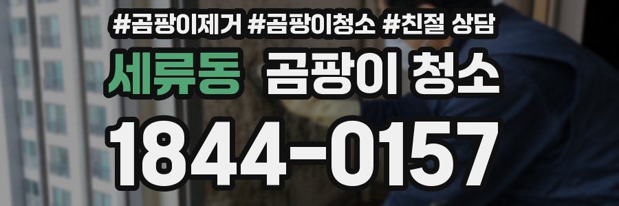 세류동 곰팡이 청소