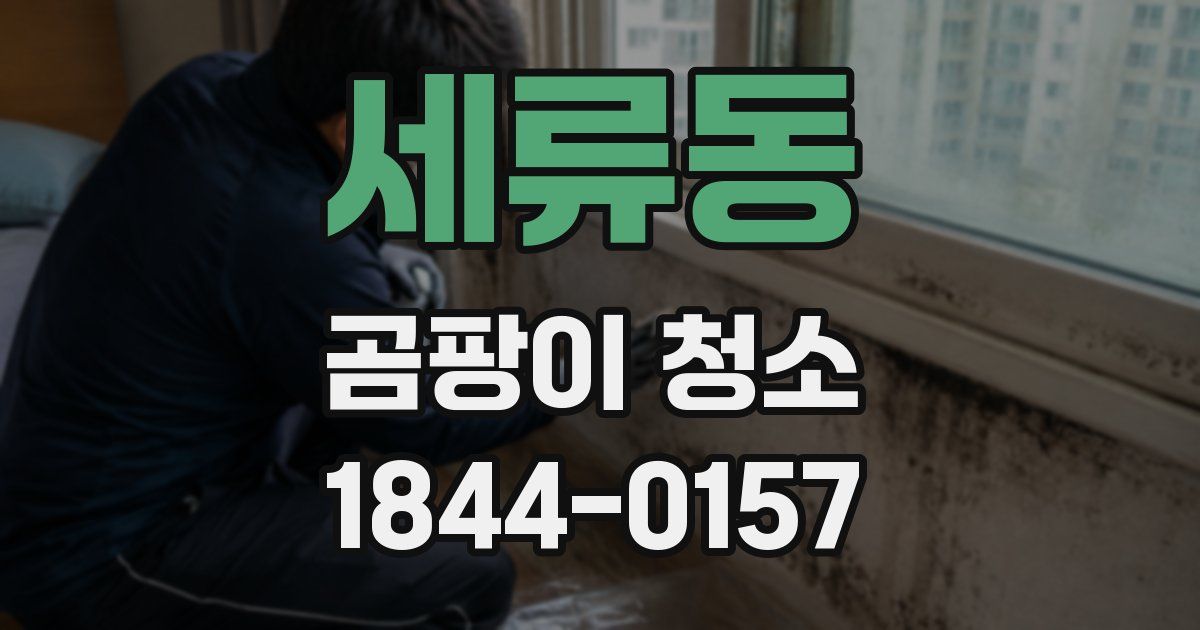 세류동 곰팡이 청소