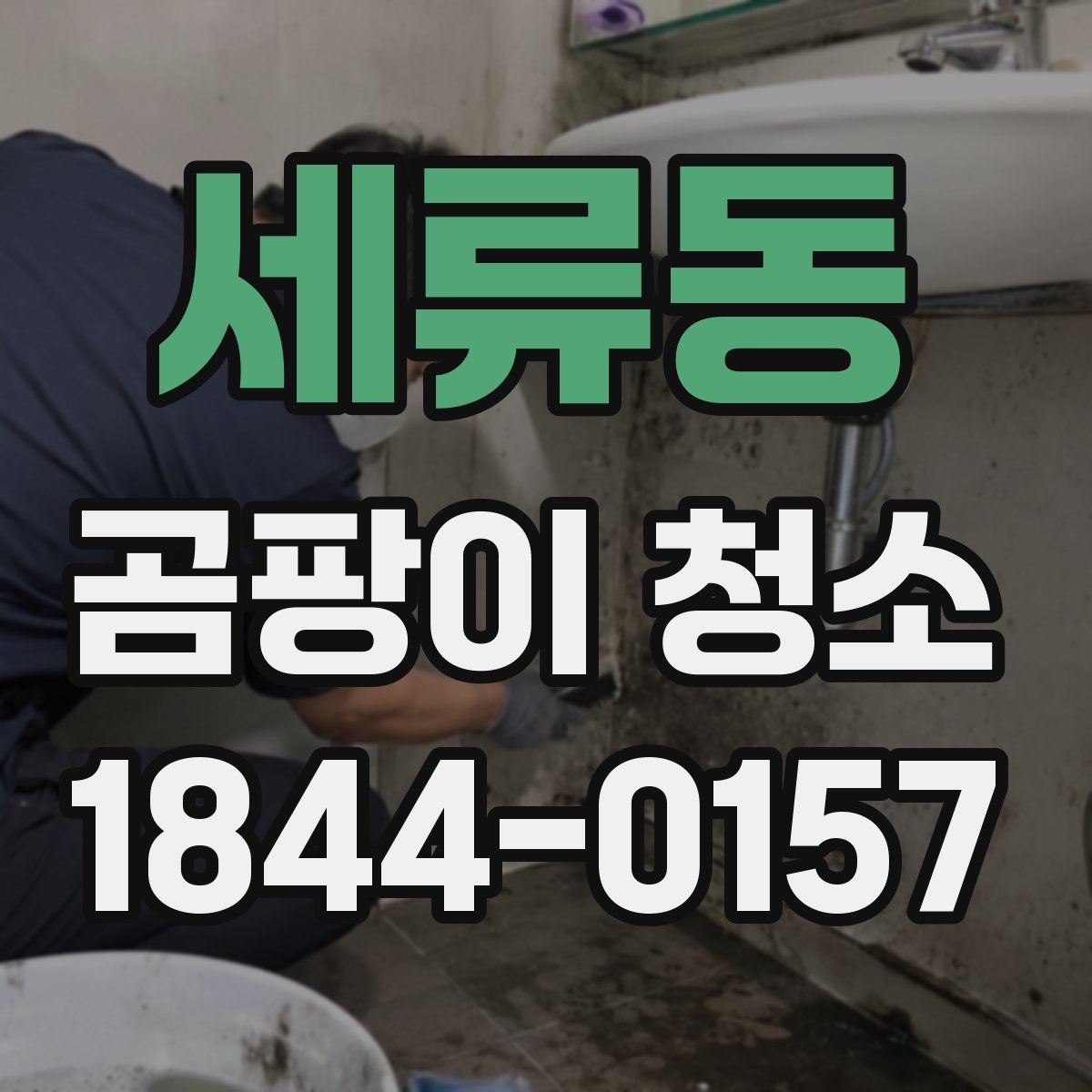 세류동 곰팡이 청소