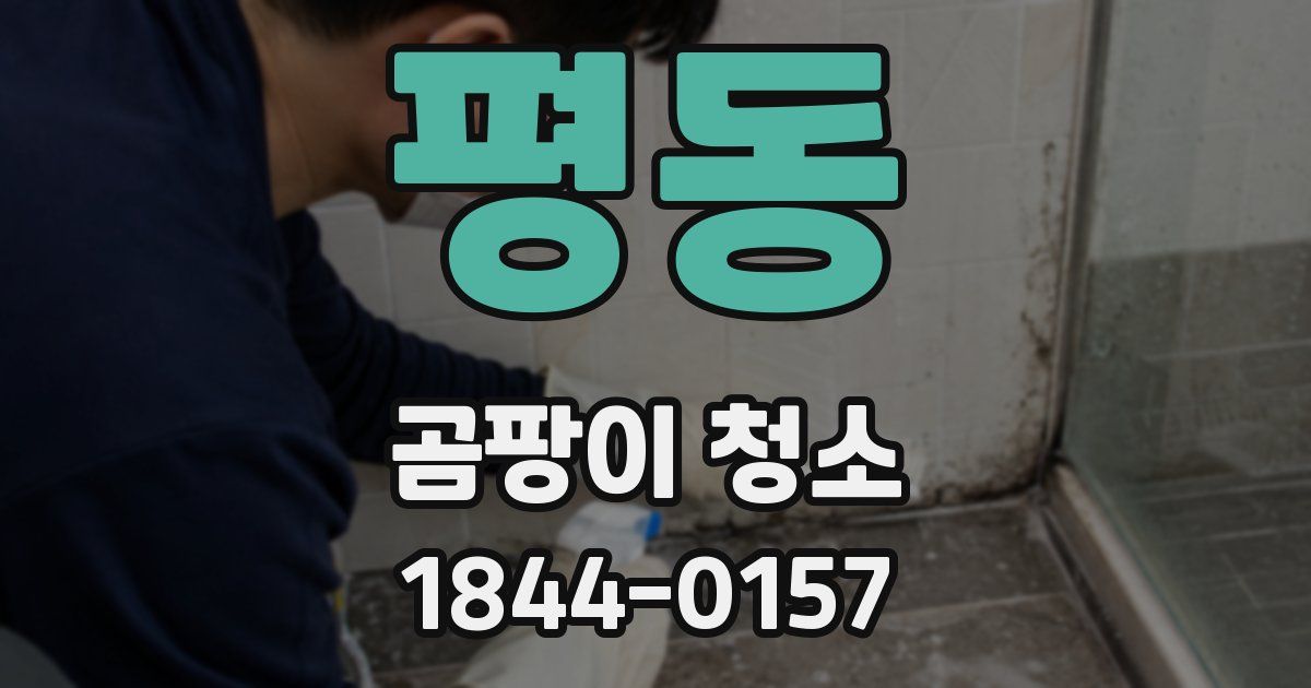 평동 곰팡이 청소