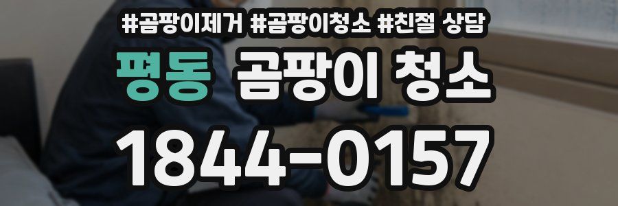 평동 곰팡이 청소