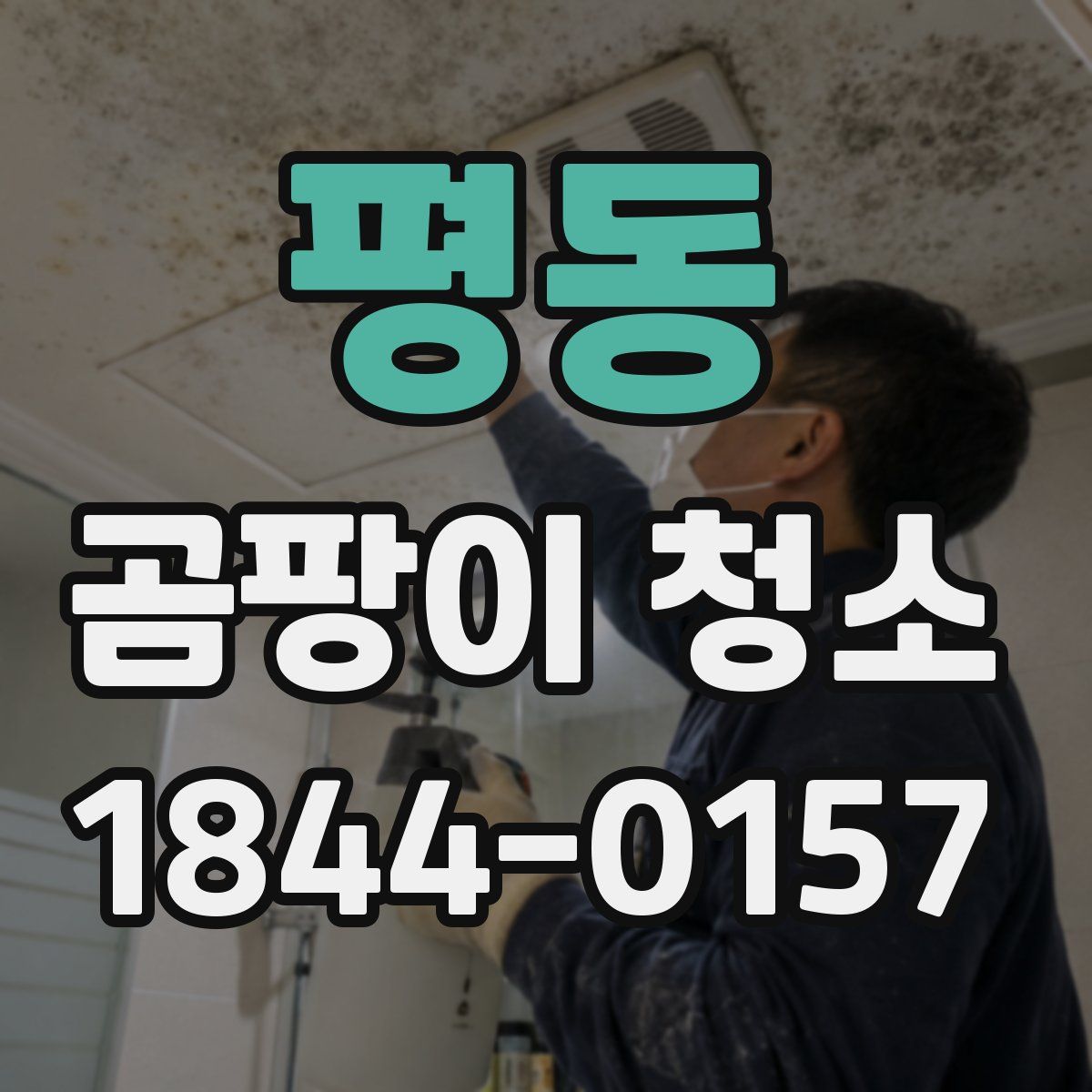 평동 곰팡이 청소
