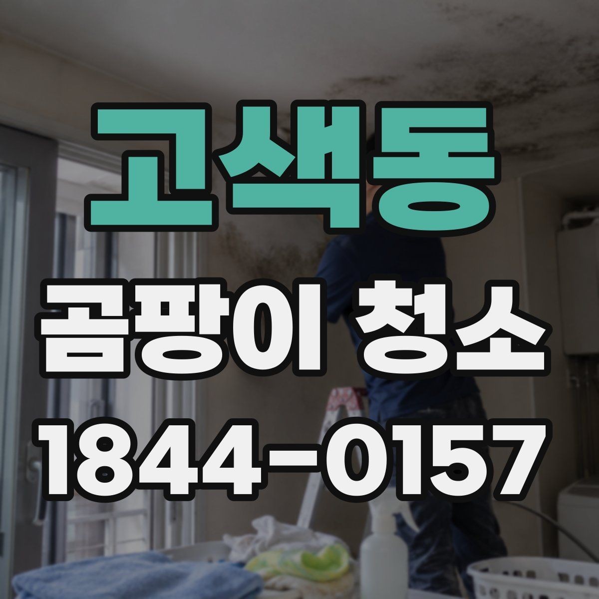 고색동 곰팡이 청소 후 마감 상태 확인법