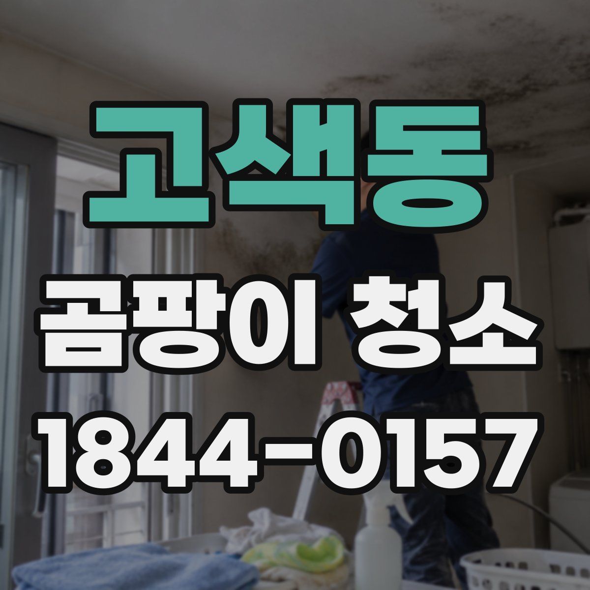 고색동 곰팡이 청소