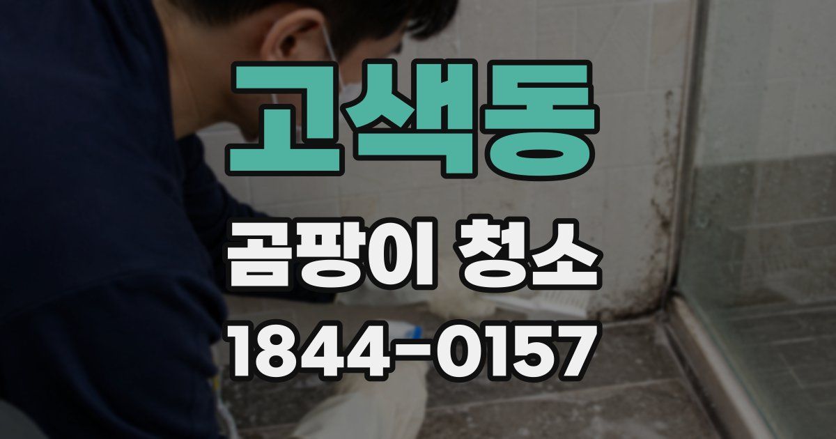 고색동 곰팡이 청소