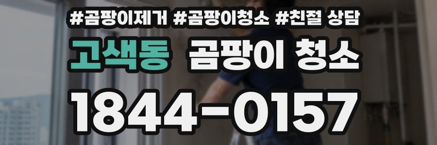 고색동 곰팡이 청소