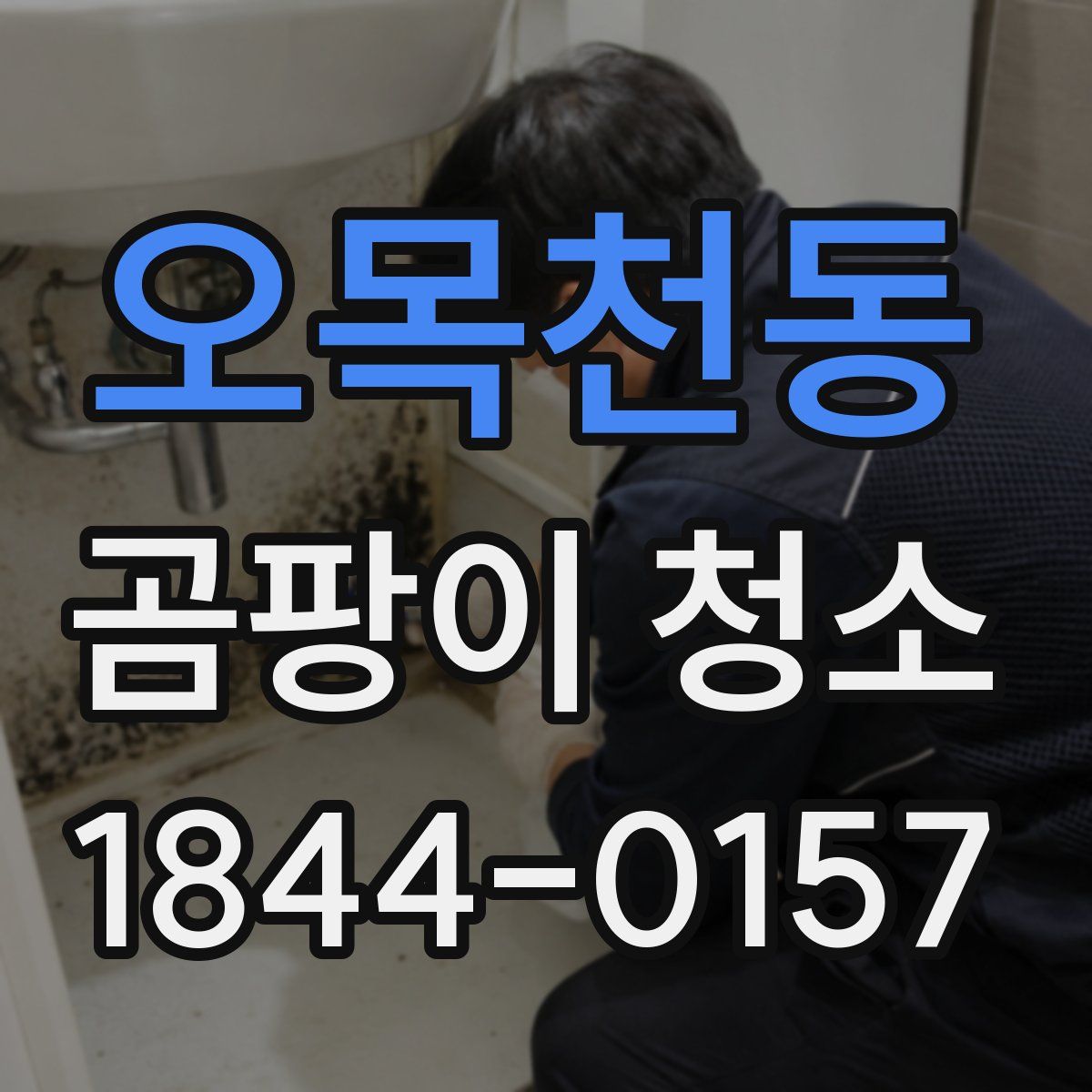 오목천동 곰팡이 청소