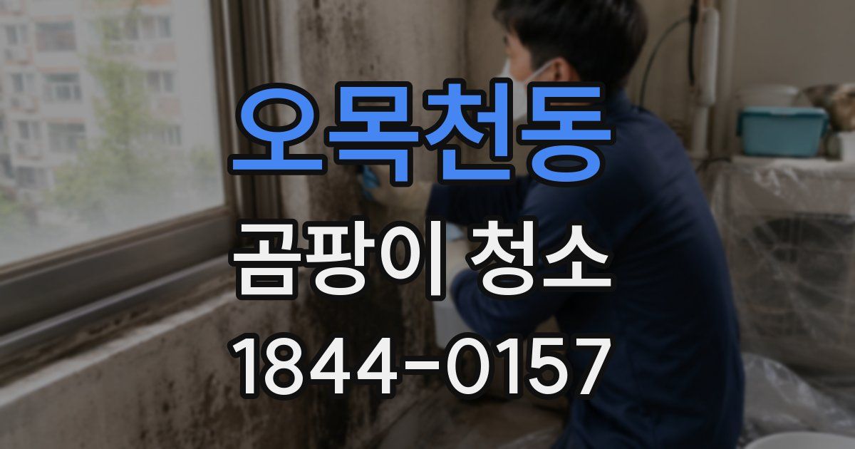 오목천동 곰팡이 청소