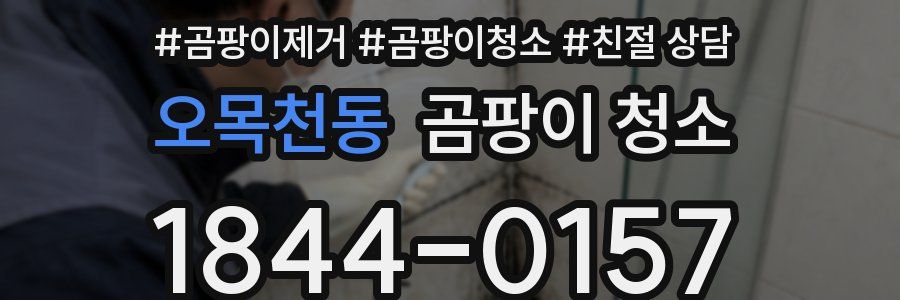 오목천동 곰팡이 청소