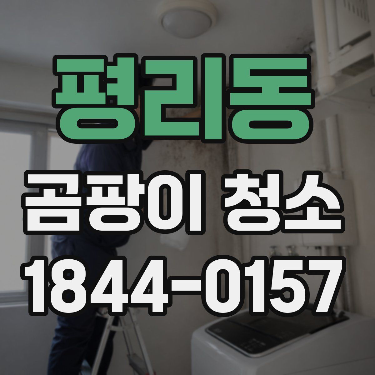 평리동 곰팡이 청소
