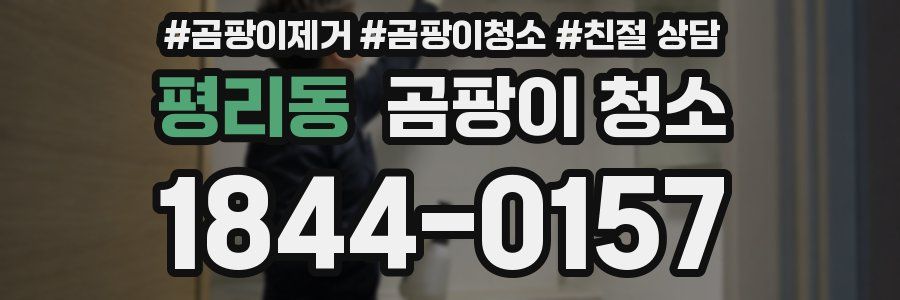 평리동 곰팡이 청소