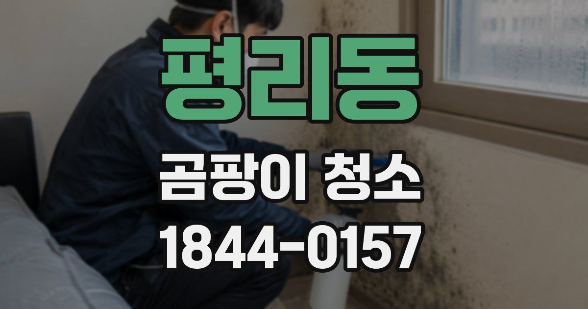 평리동 곰팡이 청소