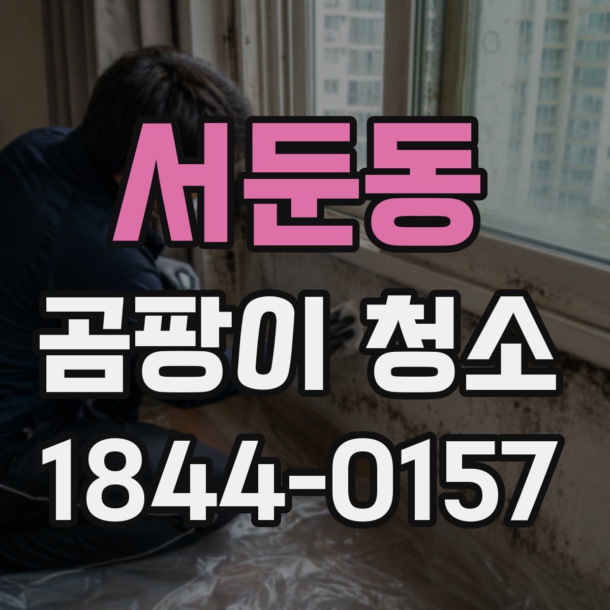 서둔동 곰팡이 청소