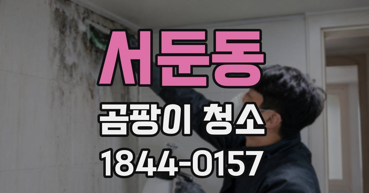 서둔동 곰팡이 청소