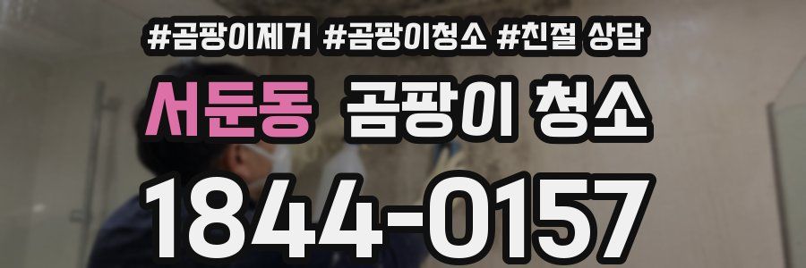 서둔동 곰팡이 청소