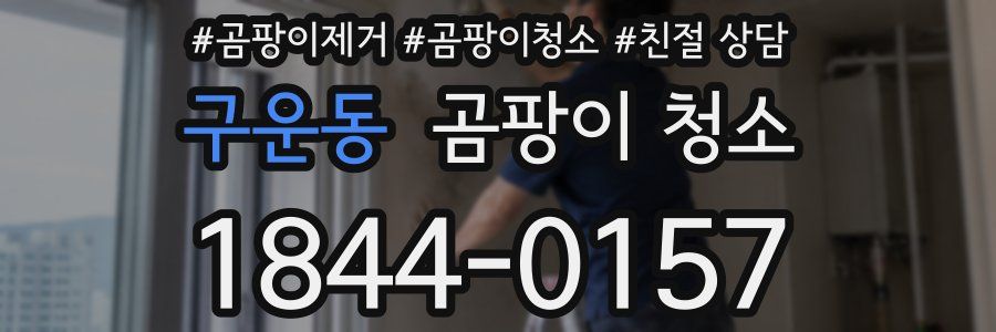 구운동 곰팡이 청소
