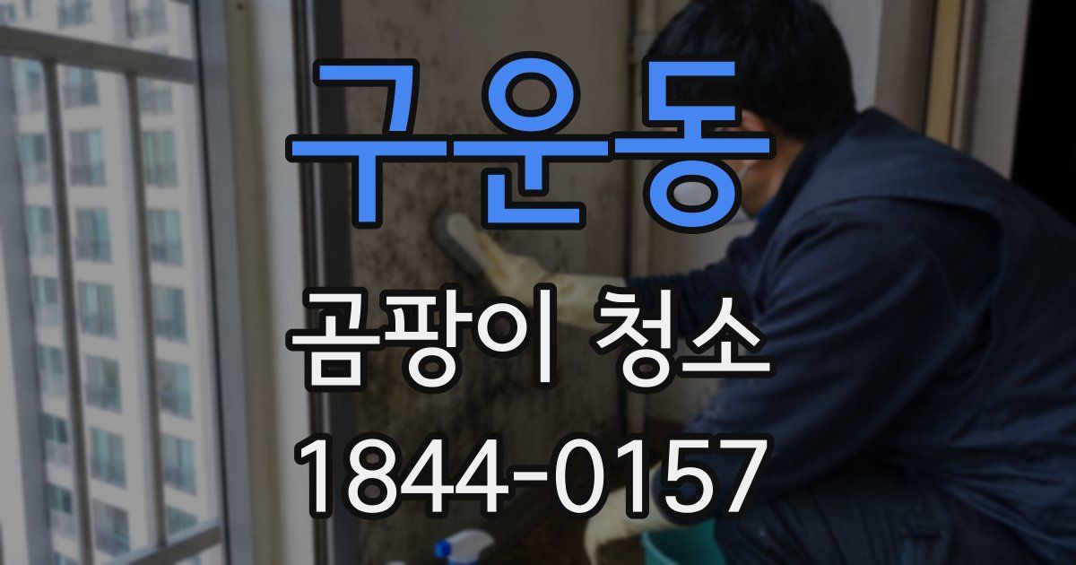 구운동 곰팡이 청소