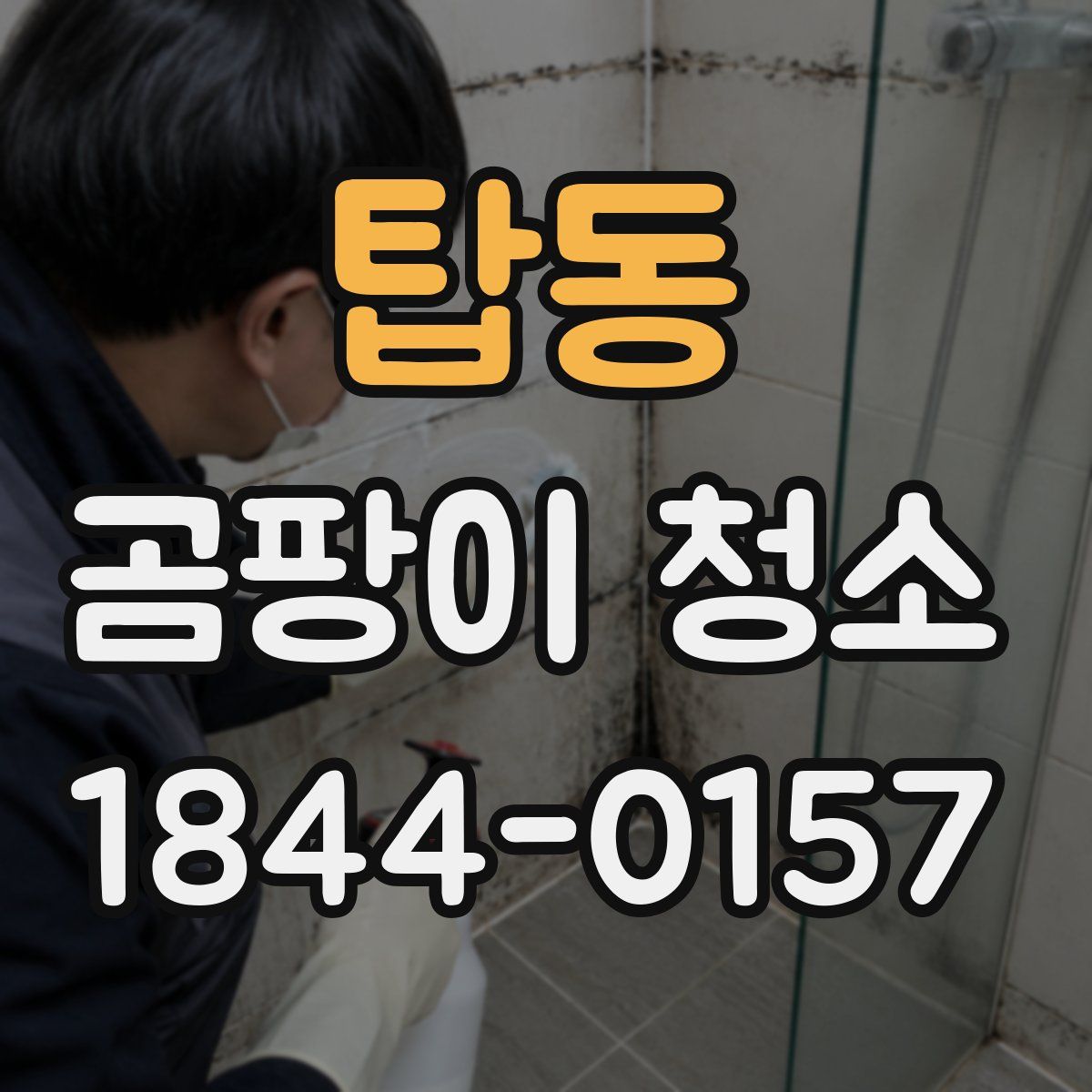 탑동 곰팡이 청소