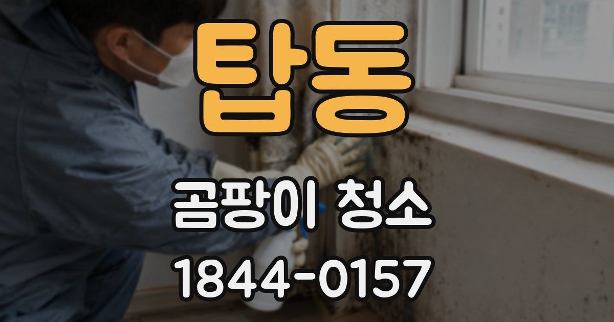 탑동 곰팡이 청소