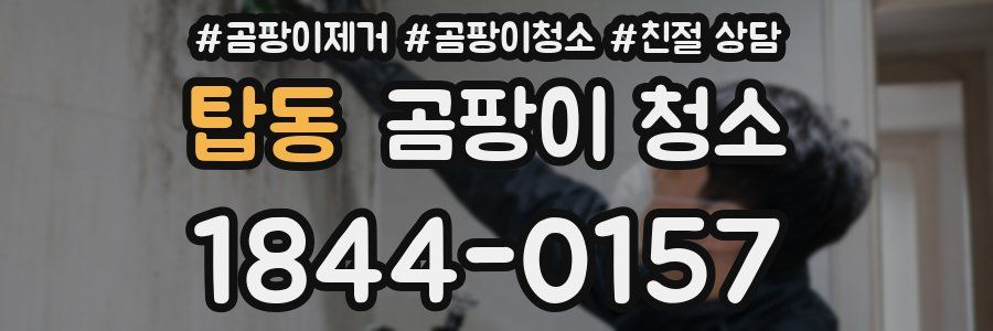 탑동 곰팡이 청소