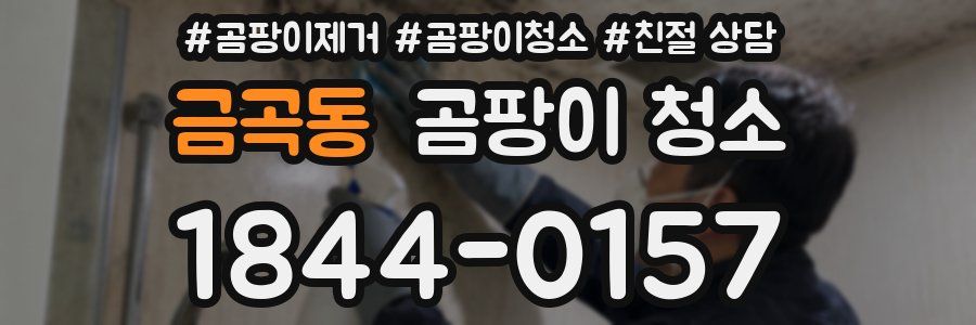 금곡동 곰팡이 청소