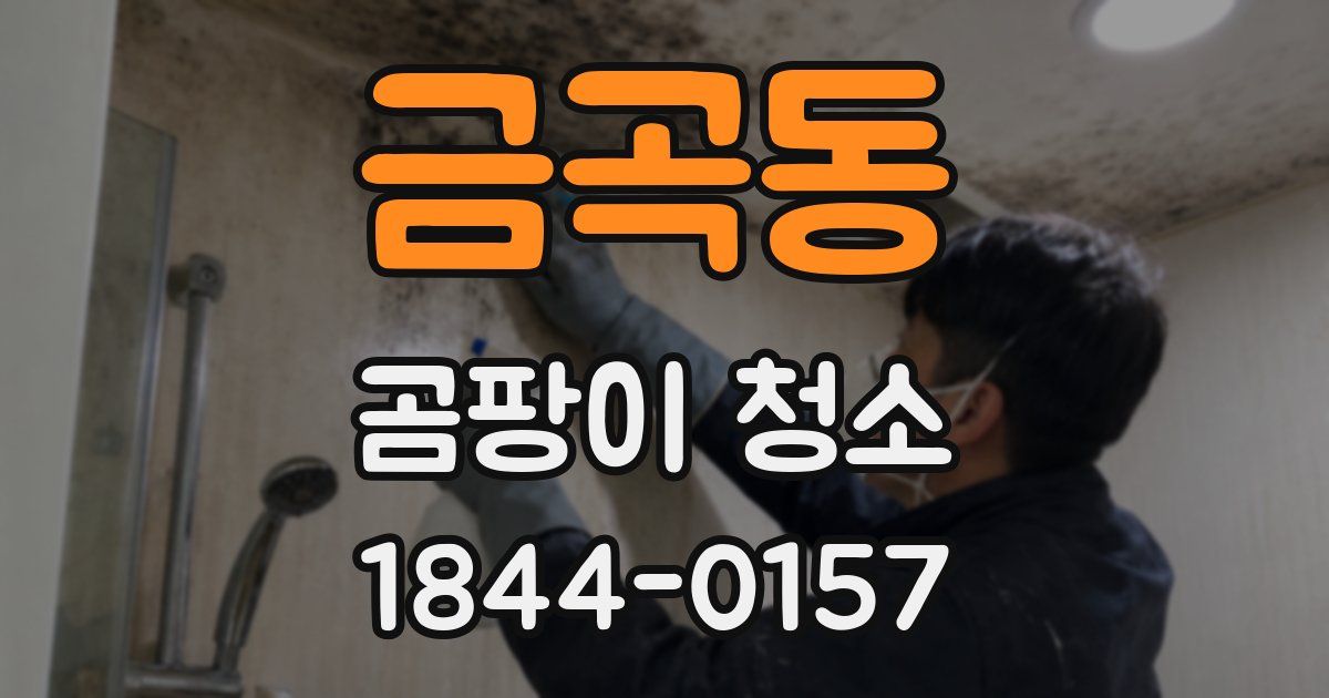 금곡동 곰팡이 청소