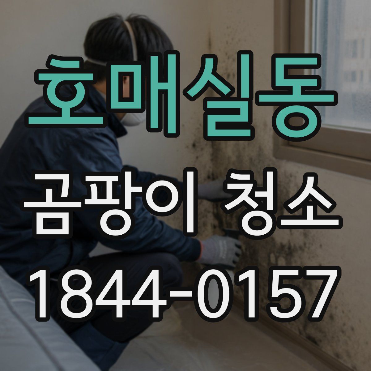 호매실동 곰팡이 청소