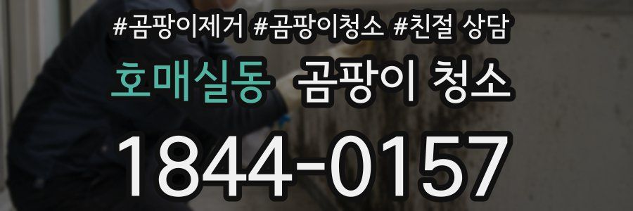 호매실동 곰팡이 청소