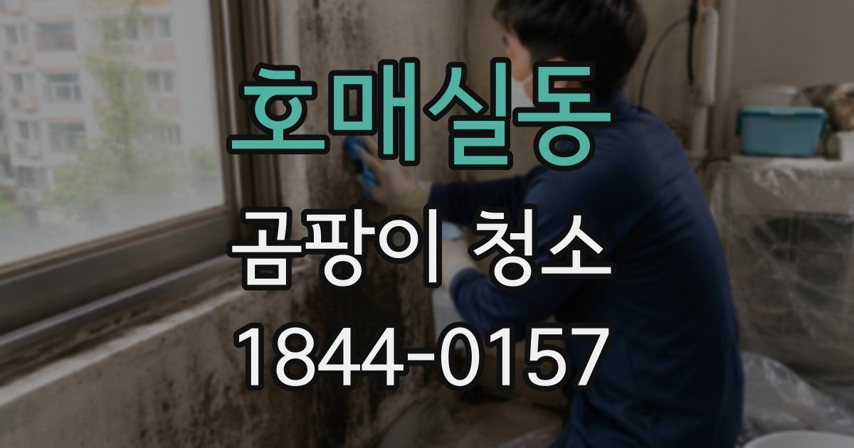 호매실동 곰팡이 청소