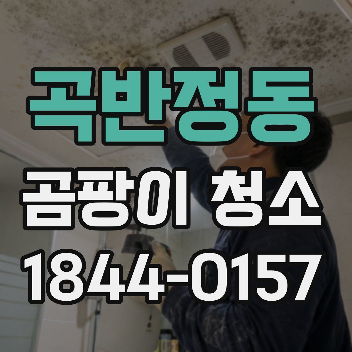 곡반정동 곰팡이 청소