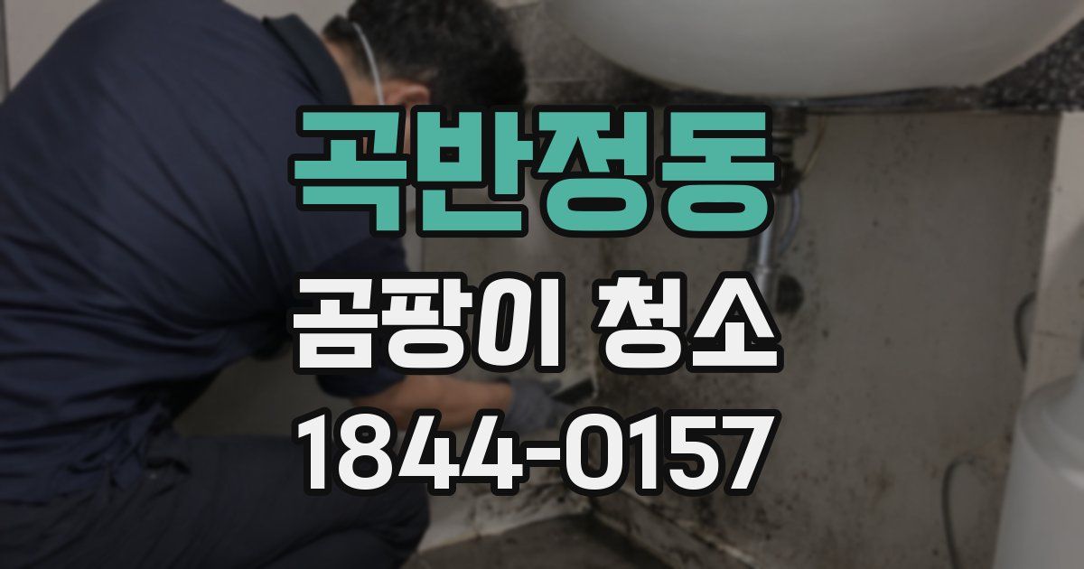 곡반정동 곰팡이 청소