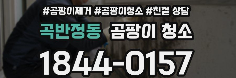 곡반정동 곰팡이 청소