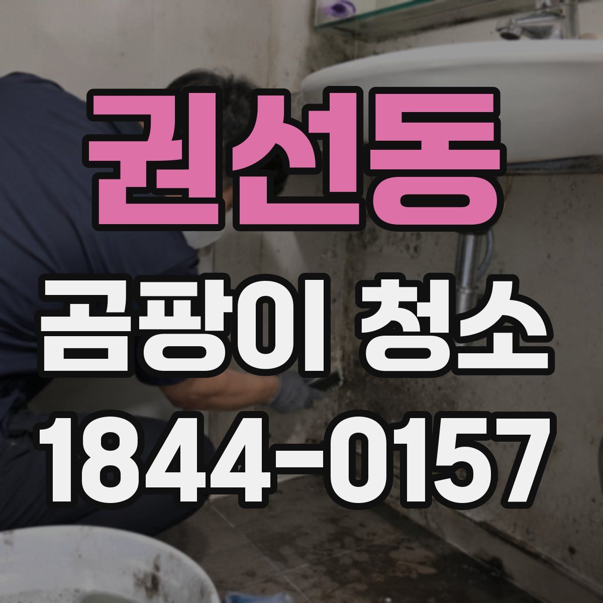 권선동 곰팡이 청소